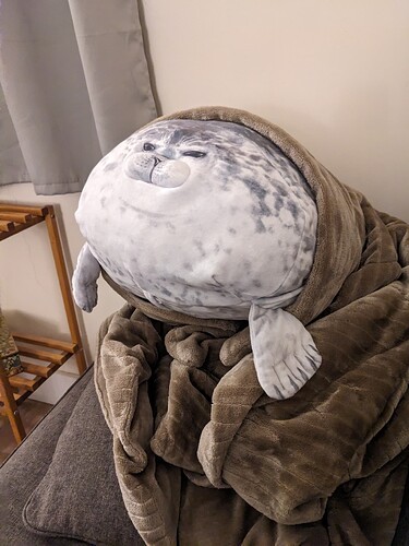 PXL_20251120_235840804.MP